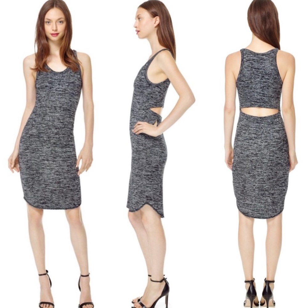 NWT Aritzia Wilfred Free Yasmin Dress
